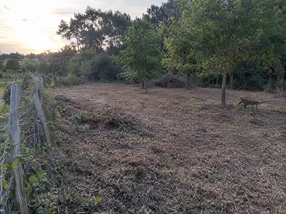 Après : terrain dégagé et propre