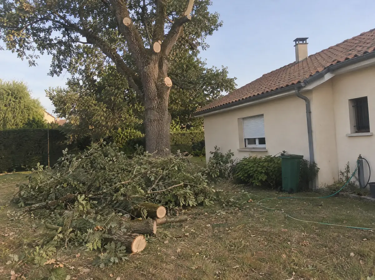 Après : toit dégagé, branches coupées au sol