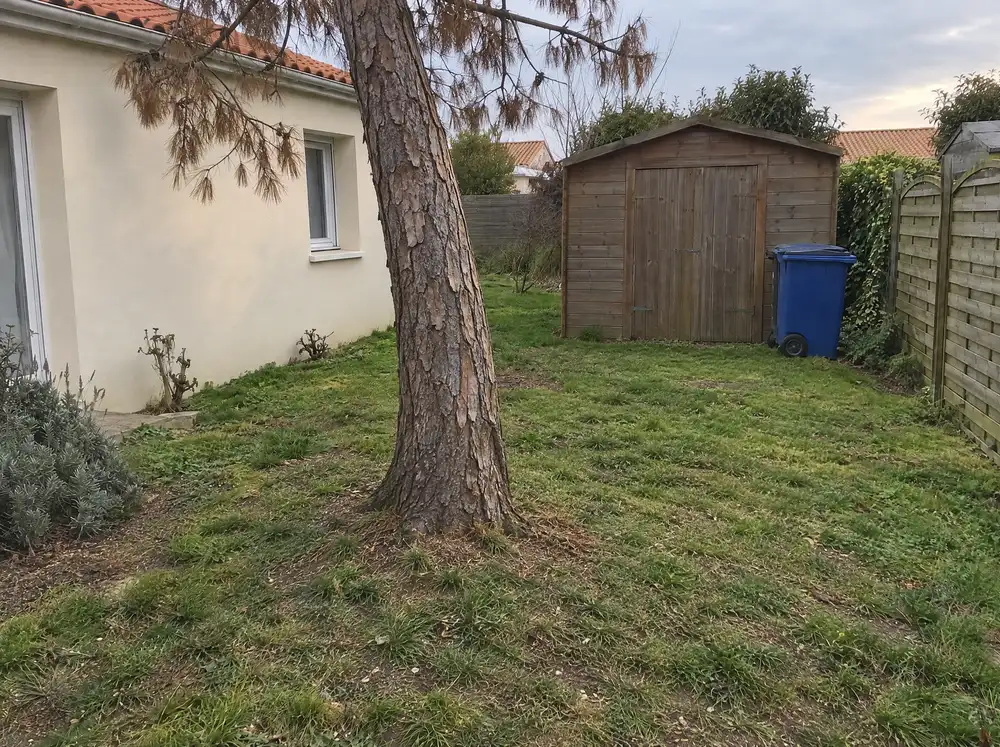 Avant : arbre mort près d'une maison