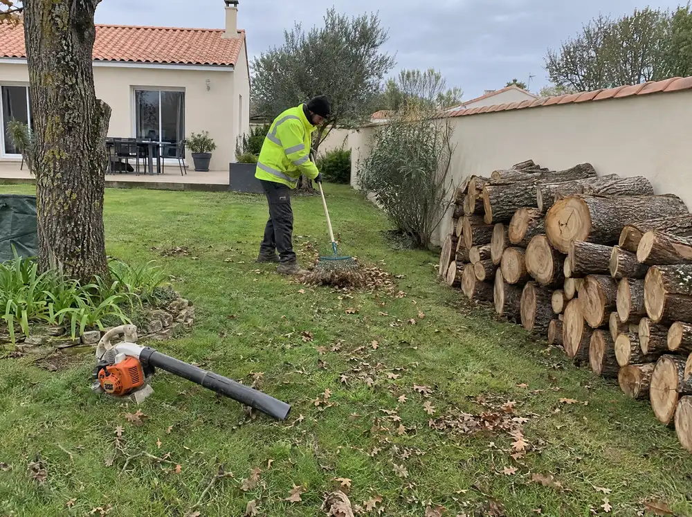 Jardin ratissé après un chantier d'élagage