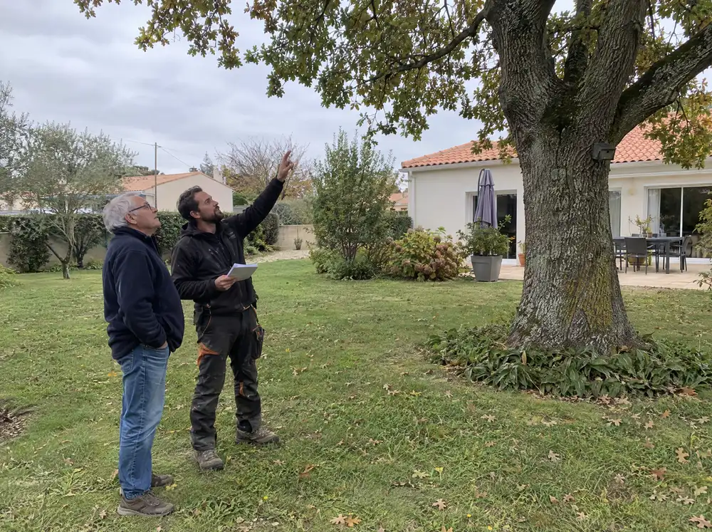 Un artisan montre un chêne à un propriétaire dans son jardin